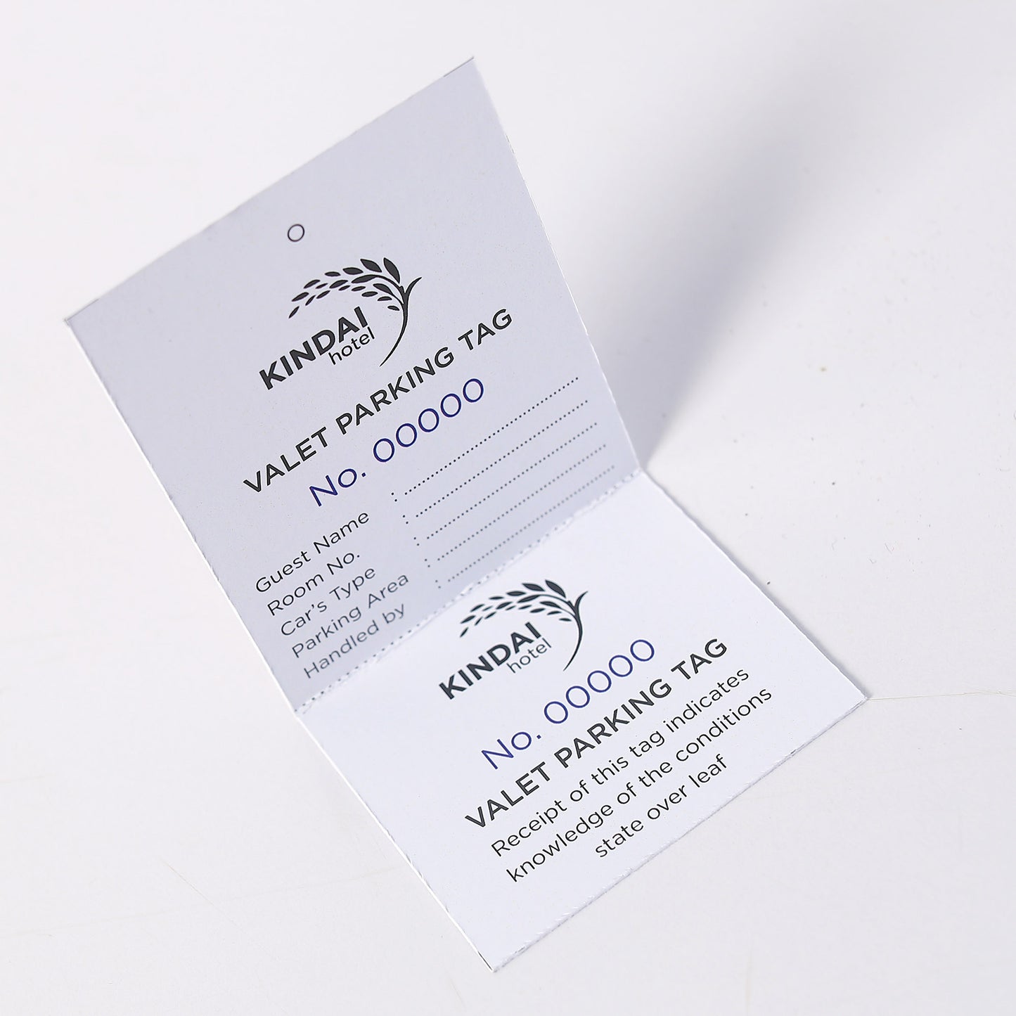 Valet Parking
